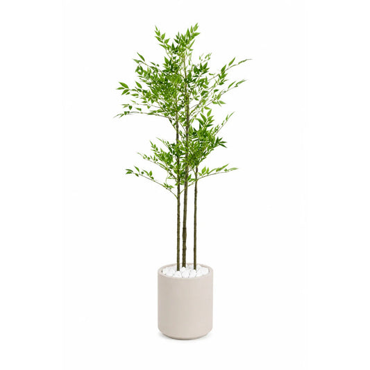 Bamboo tree