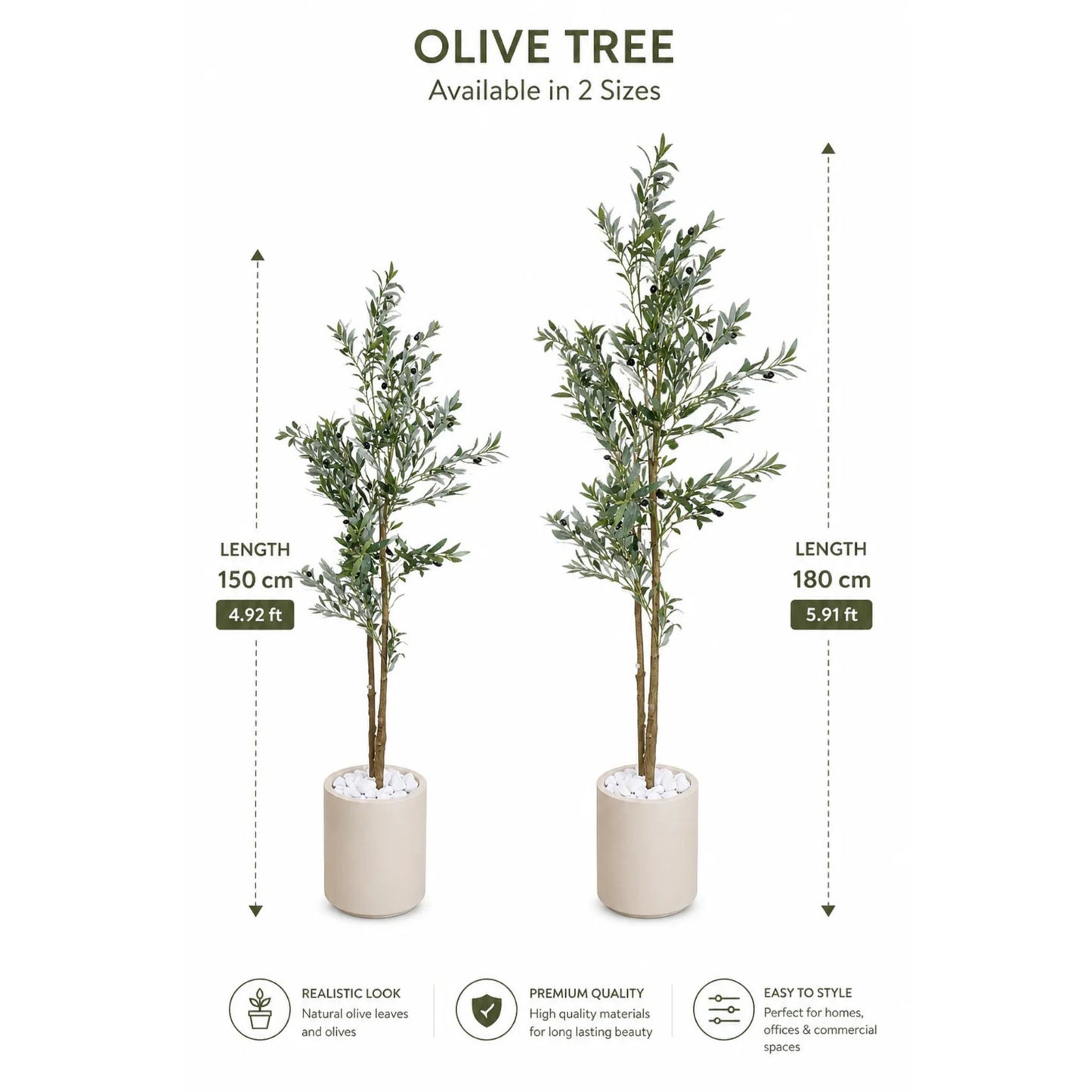 Olive tree