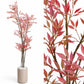 Light Bamboo red tree