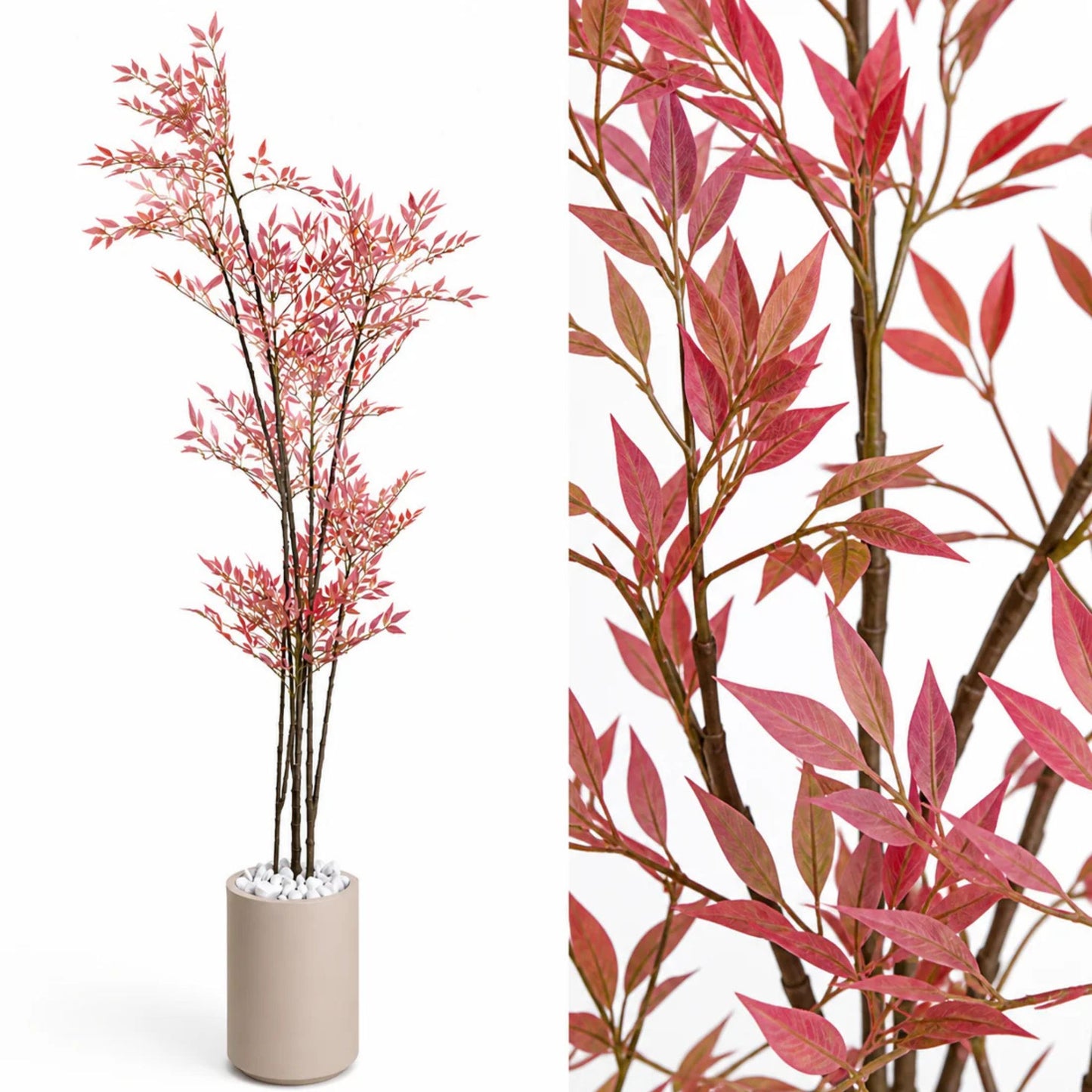 Light Bamboo red tree