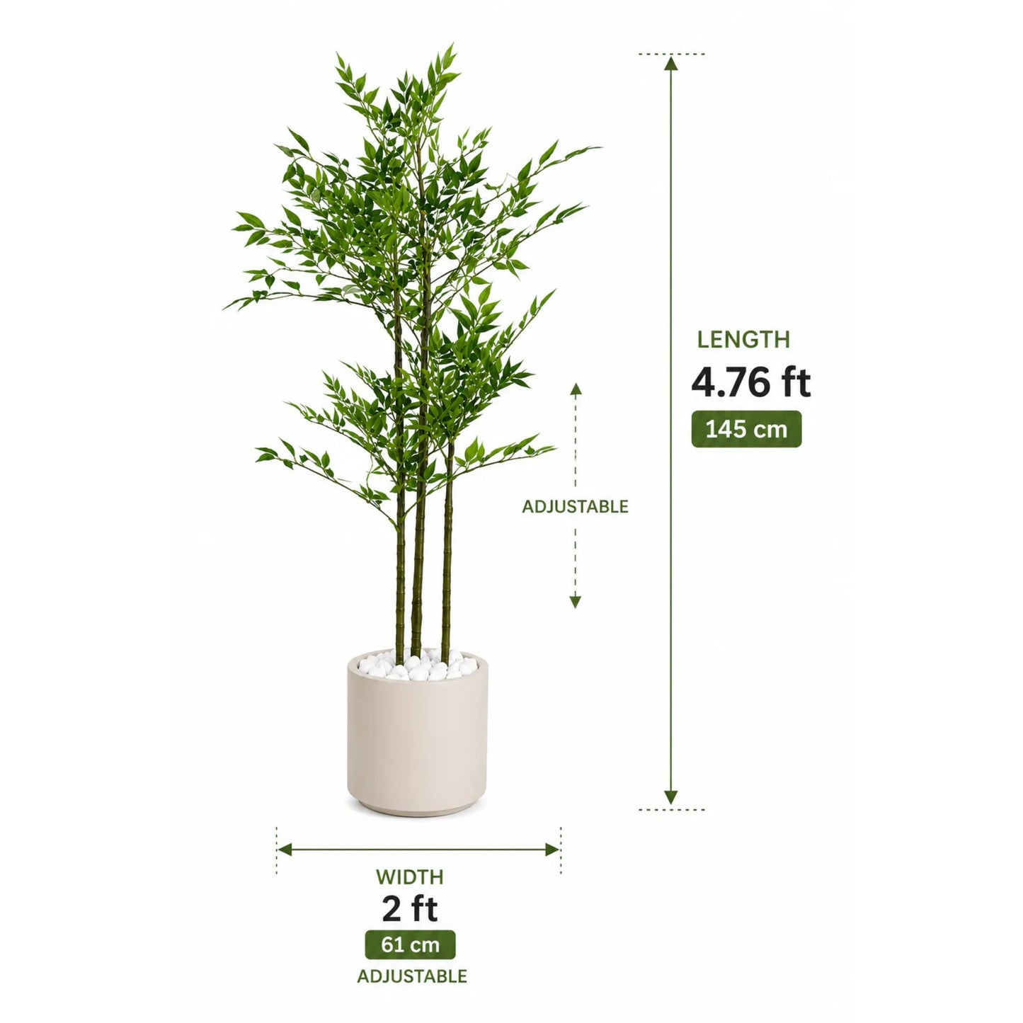 Bamboo tree