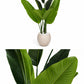 Traveler’s palm